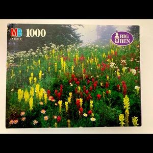 **NEW** MG ‘MT. RAINIER NATIONAL PARK, WA’ 1000 PIECE PUZZLE